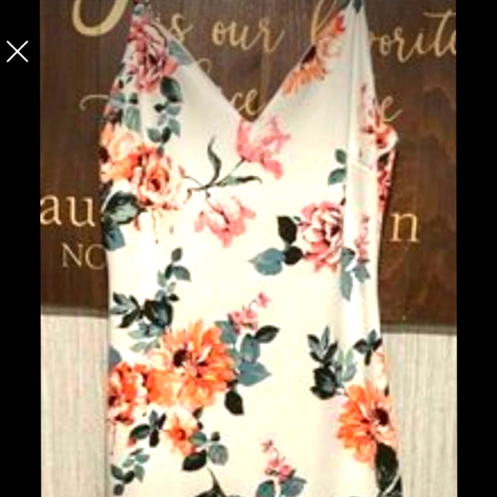 Beautiful Charlotte Russe in Autumn Colors